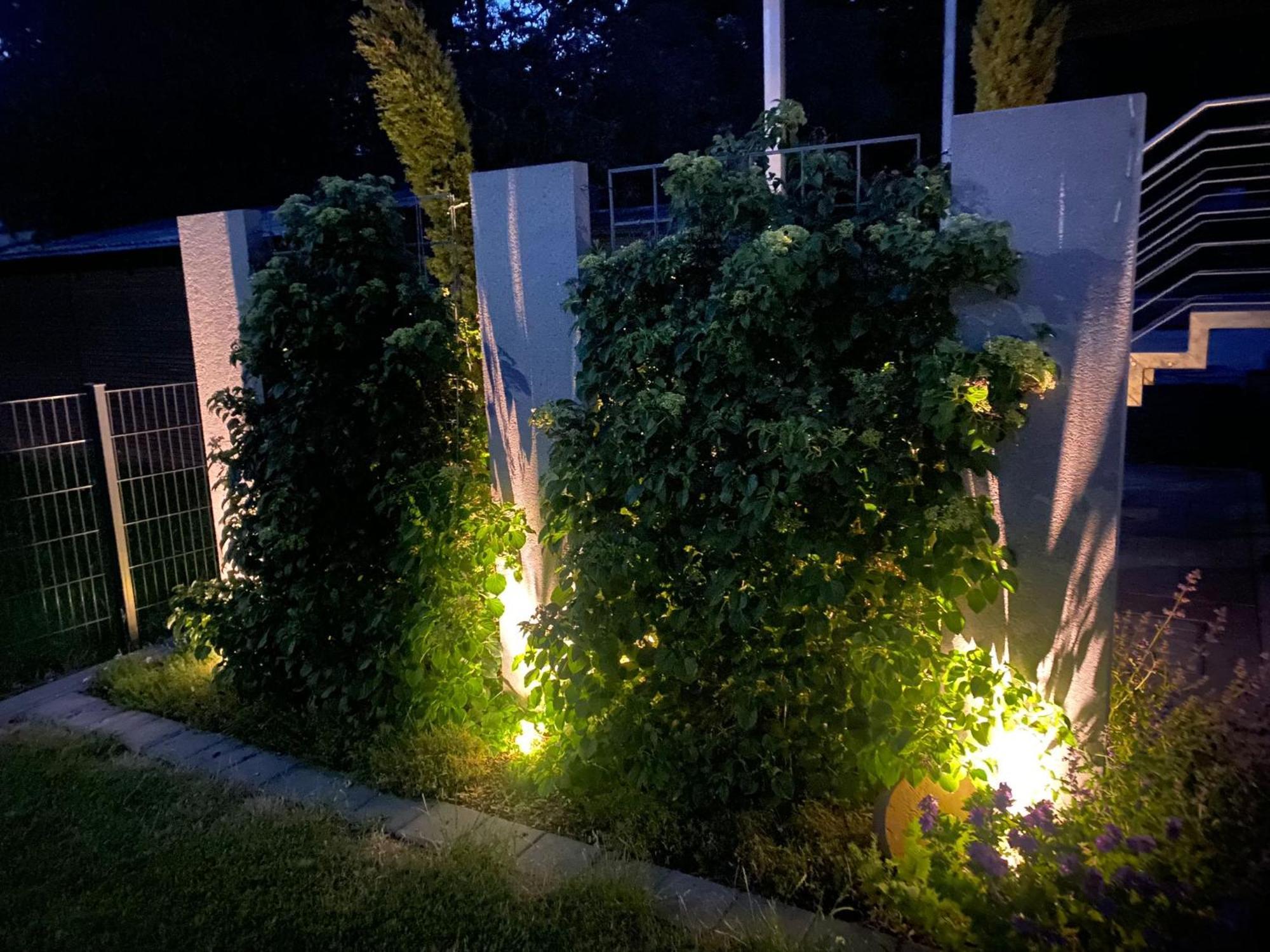 מסקירך Anitas Ferienwohnung מראה חיצוני תמונה